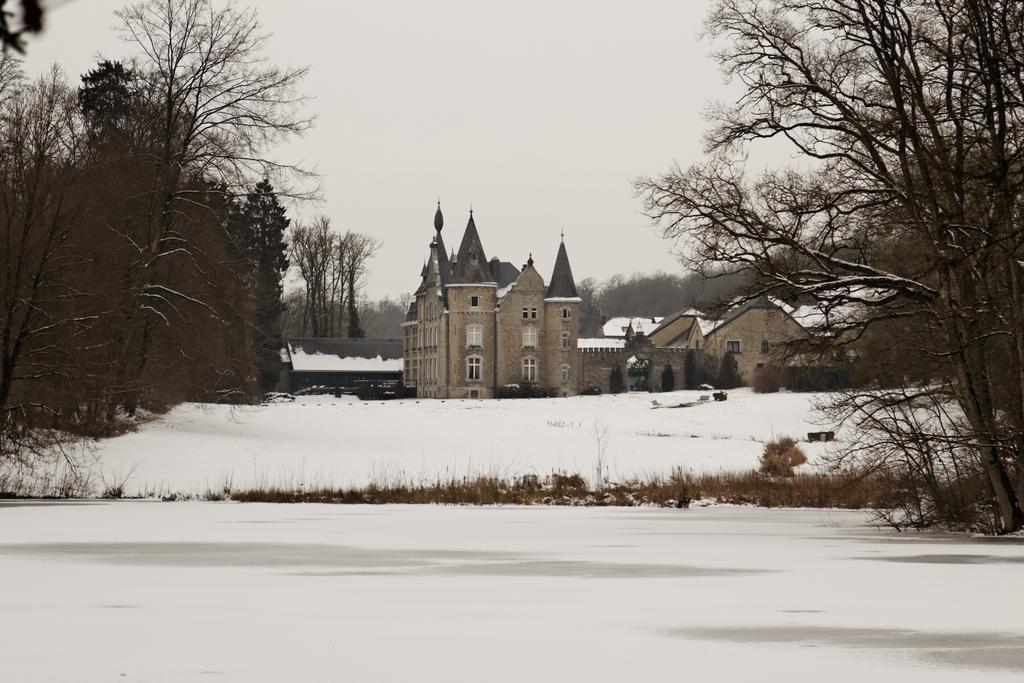 Chateau D'Hassonville Aye Esterno foto