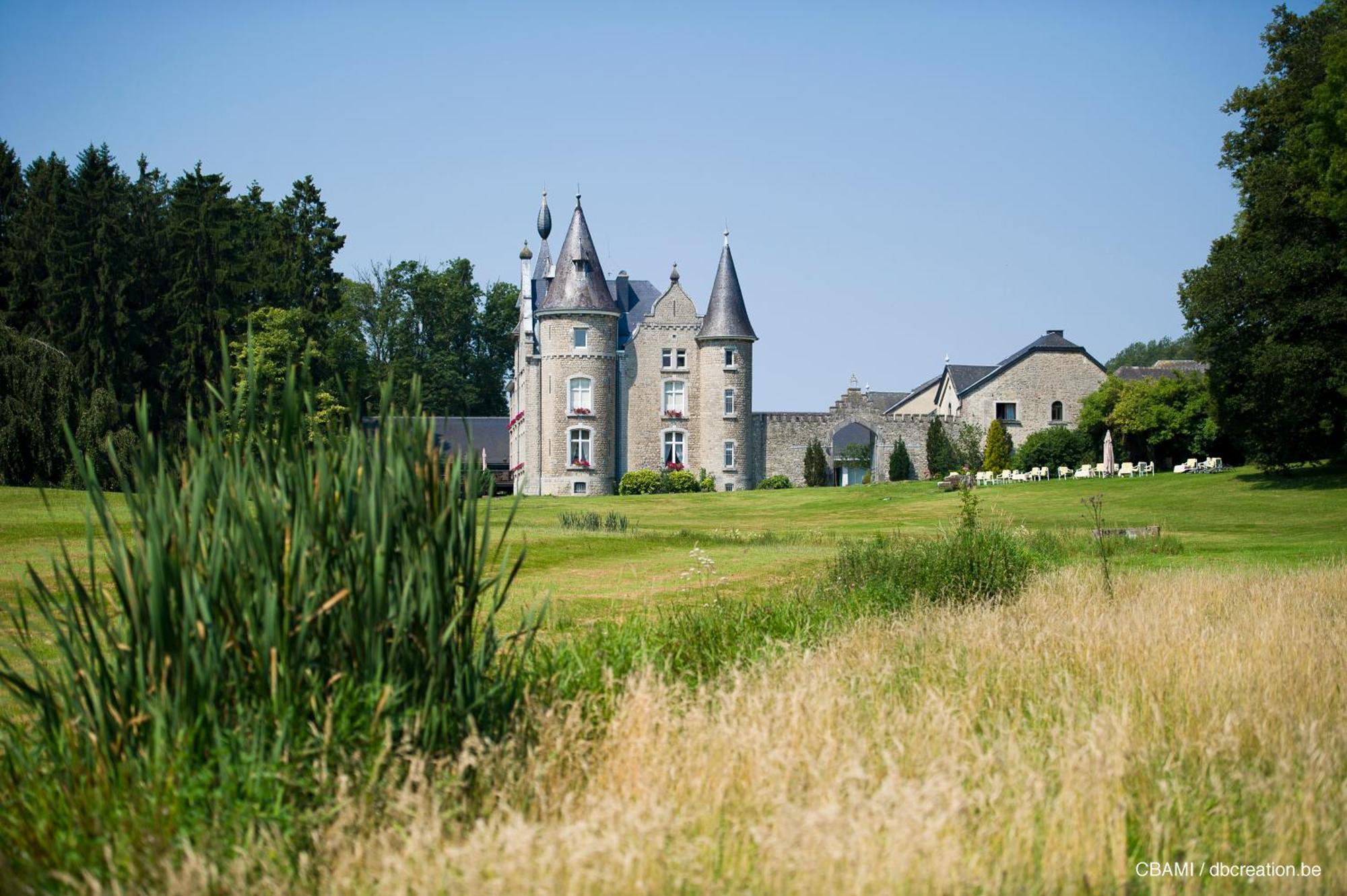 Chateau D'Hassonville Aye Esterno foto